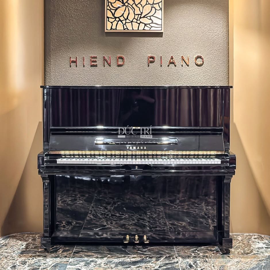 duc-tri-piano-4-1787827249.jpg