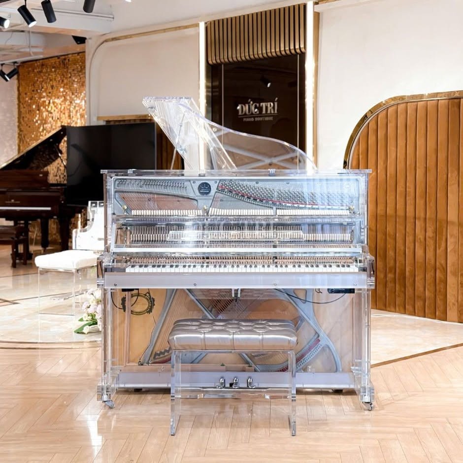 duc-tri-piano-5-1787827248.jpg