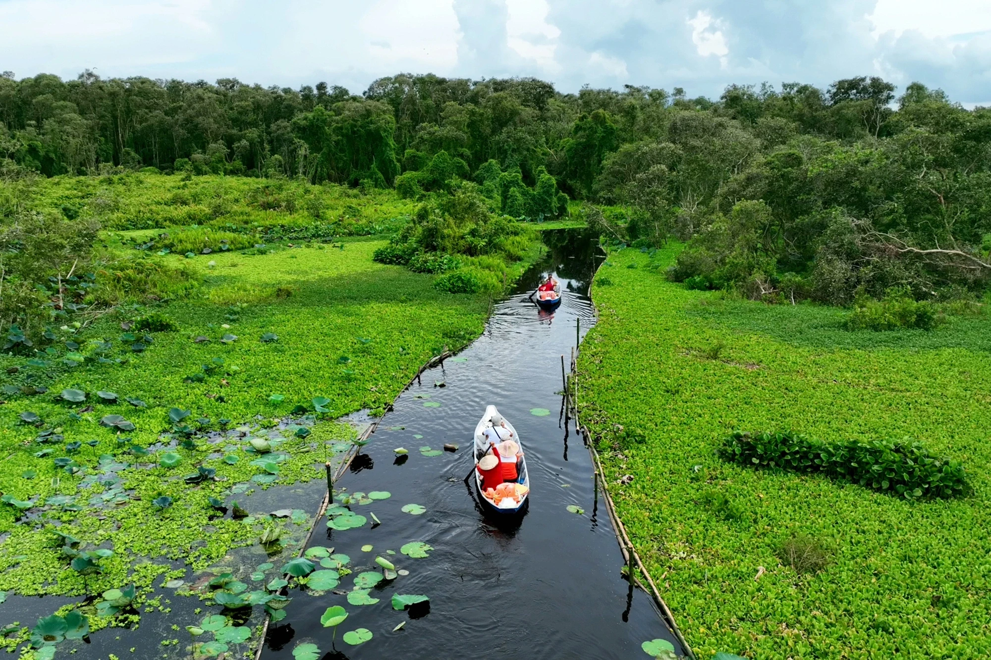 Một số đặc trưng của ca khúc mang âm hưởng dân ca Nam Bộ