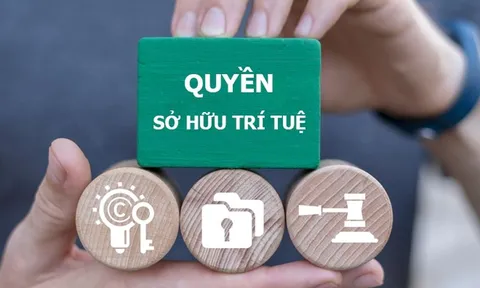 BẢO VỆ QUYỀN SỞ HỮU TRÍ TUỆ CỦA NGƯỜI SÁNG TÁC, NGƯỜI BIỂU DIỄN VÀ NHÀ SẢN XUẤT BẢN GHI KHI PHÁT SINH TRANH CHẤP TRÊN CÁC NỀN TẢNG TOÀN CẦU