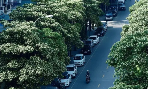 Góc mùa thu Hà Nội
