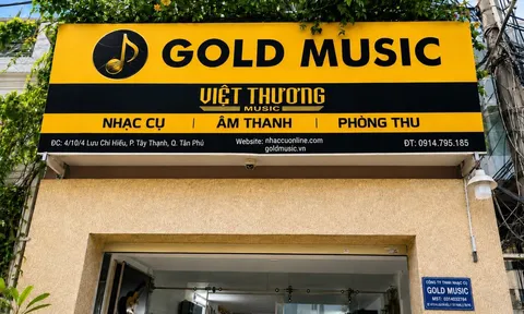 Mua nhạc cụ tại TP.HCM: Cần lưu ý gì về model, tình trạng hàng và giá bán?