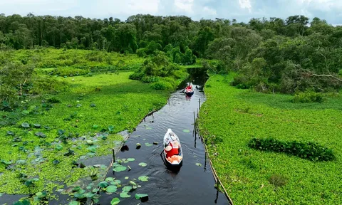 Một số đặc trưng của ca khúc mang âm hưởng dân ca Nam Bộ