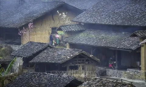 Nhà trình tường - di sản văn hóa người Mông ở Hà Giang
