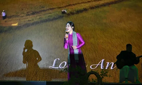 Vai trò của ca khúc mà âm hưởng dân cả Nam Bộ với âm nhạc Việt Nam