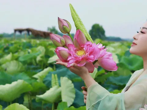 Yêu tinh tế như trong dân ca: Điểm tựa tâm hồn qua những nhịp cầu di sản