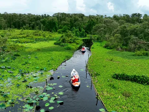 Một số đặc trưng của ca khúc mang âm hưởng dân ca Nam Bộ