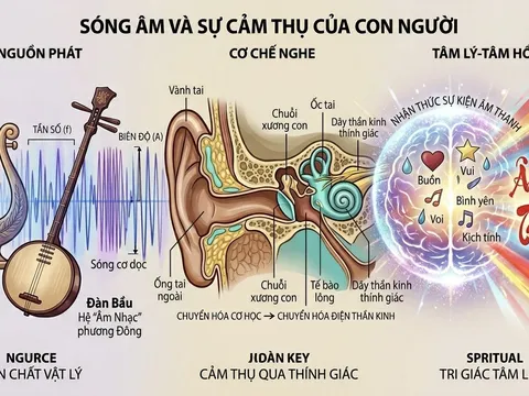 Sóng âm và cơ chế cảm thụ của đôi tai con người (Bài 2)