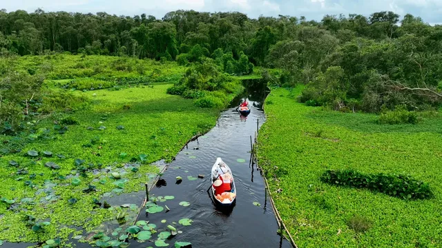 Một số đặc trưng của ca khúc mang âm hưởng dân ca Nam Bộ